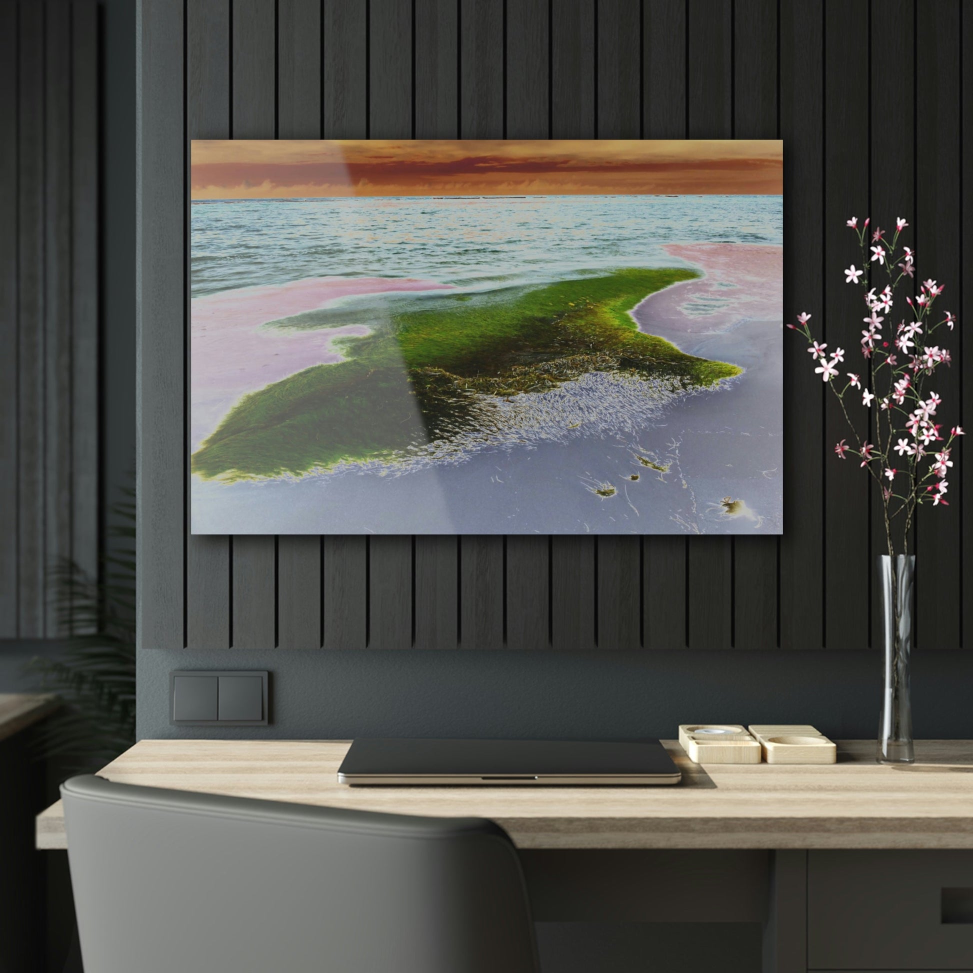 Acrylic Prints - US Made - Ideal for a Stunning Home/Office Decor Ideas - Remote Mona island - Pajaros Beach & Algage - CCMM* - Green Forest Home