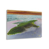 Acrylic Prints - US Made - Ideal for a Stunning Home/Office Decor Ideas - Remote Mona island - Pajaros Beach & Algage - CCMM* - Green Forest Home