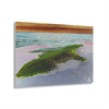 Acrylic Prints - US Made - Ideal for a Stunning Home/Office Decor Ideas - Remote Mona island - Pajaros Beach & Algage - CCMM* - Green Forest Home