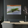 Acrylic Prints - US Made - Ideal for a Stunning Home/Office Decor Ideas - Remote Mona island - Pajaros Beach & Algage - CCMM* - Green Forest Home