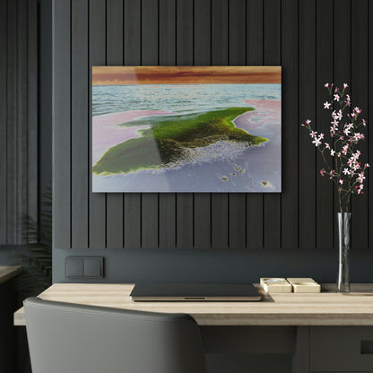 Acrylic Prints - US Made - Ideal for a Stunning Home/Office Decor Ideas - Remote Mona island - Pajaros Beach & Algage - CCMM* - Green Forest Home