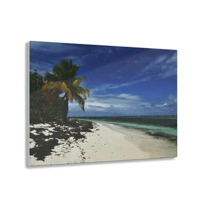 Acrylic Prints - US Made - Ideal for a Stunning Home/Office Decor Ideas - Remote Mona island - Pajaros Beach in all its Splendor - CCMM* - Green Forest Home