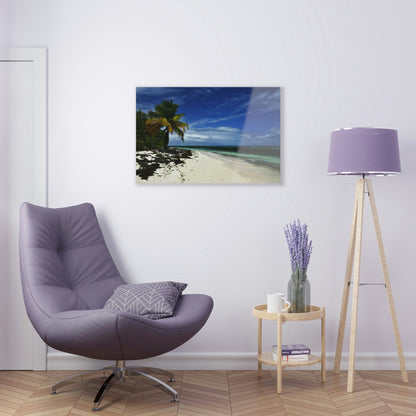 Acrylic Prints - US Made - Ideal for a Stunning Home/Office Decor Ideas - Remote Mona island - Pajaros Beach in all its Splendor - CCMM* - Green Forest Home