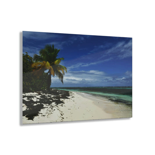 Acrylic Prints - US Made - Ideal for a Stunning Home/Office Decor Ideas - Remote Mona island - Pajaros Beach in all its Splendor - CCMM* - Green Forest Home