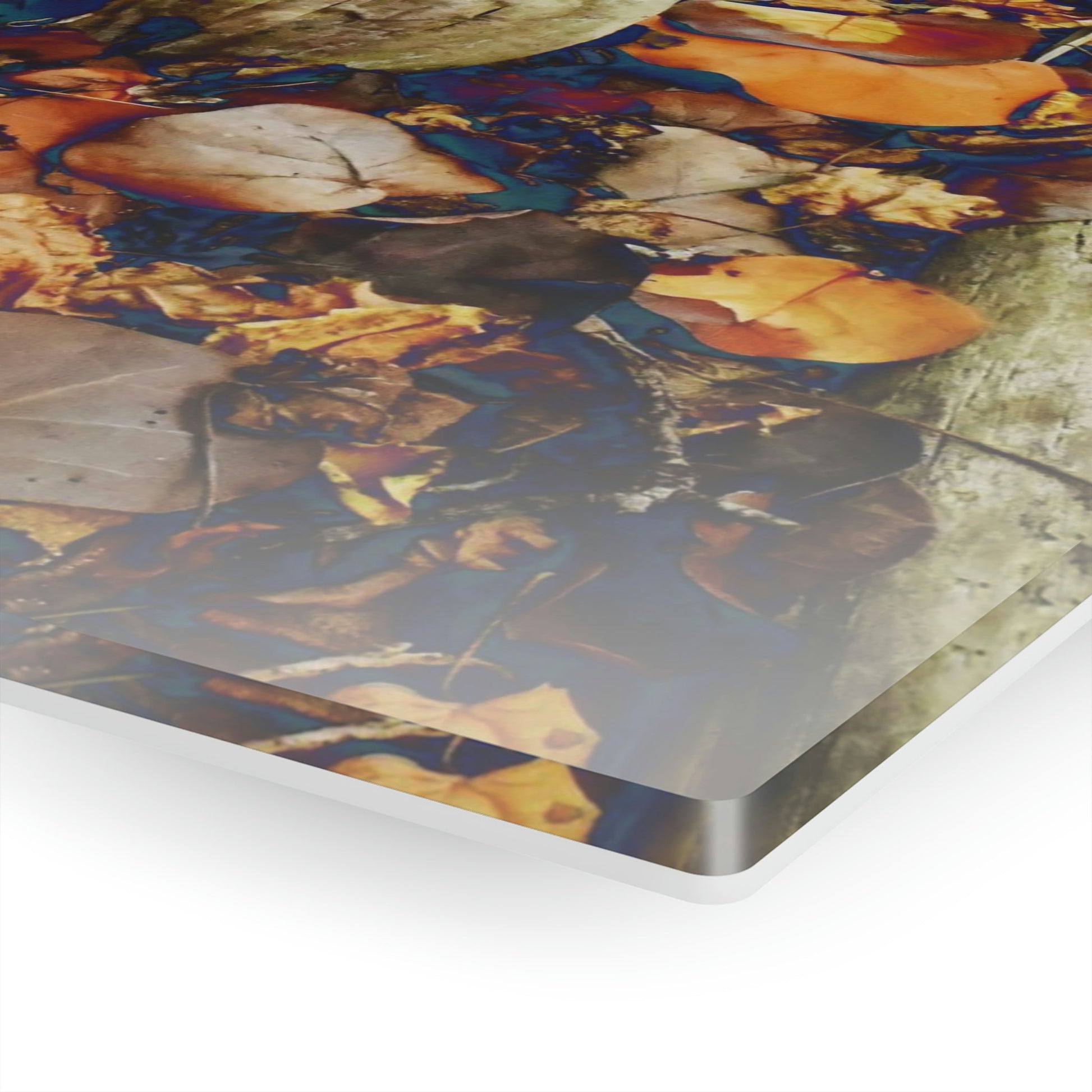 Acrylic Prints - US Made - Ideal for a Stunning Home/Office Decor Ideas - Remote Mona island - Plastic junk from boats in the beach - CCMM* - Green Forest Home