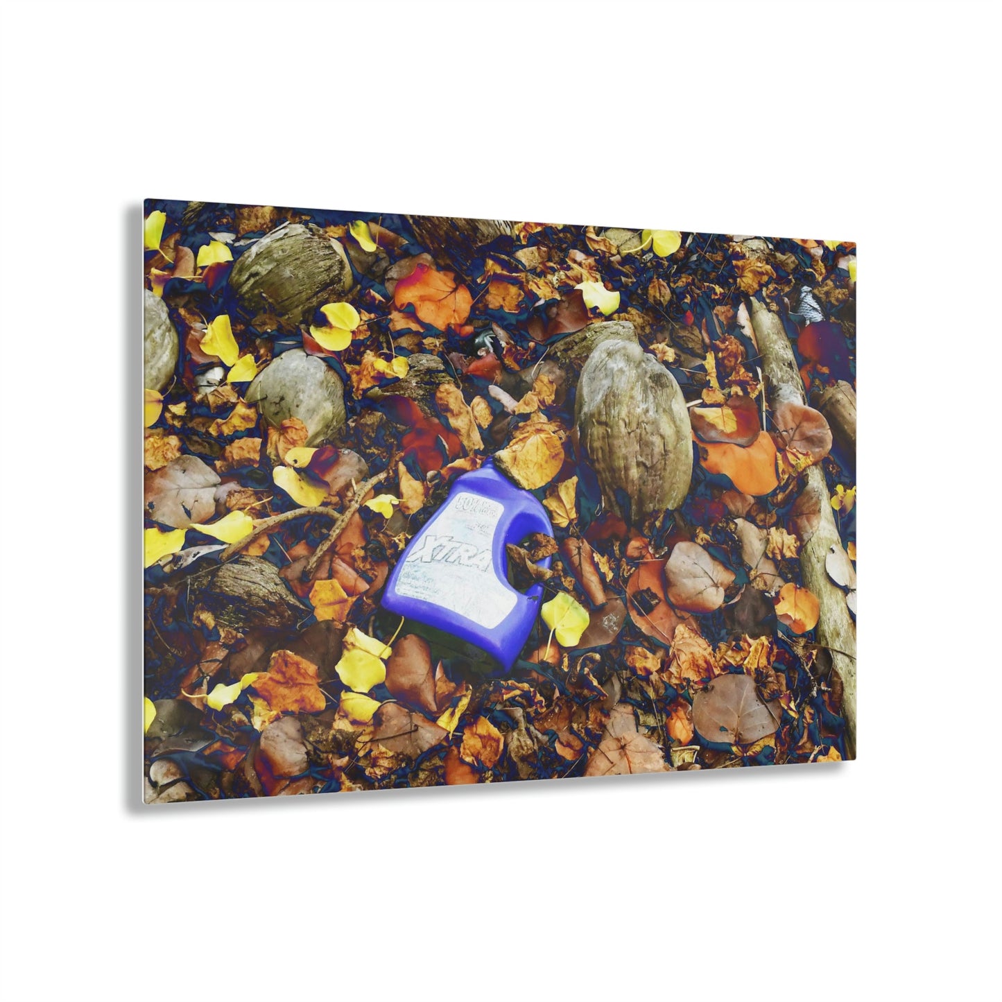 Acrylic Prints - US Made - Ideal for a Stunning Home/Office Decor Ideas - Remote Mona island - Plastic junk from boats in the beach - CCMM* - Green Forest Home