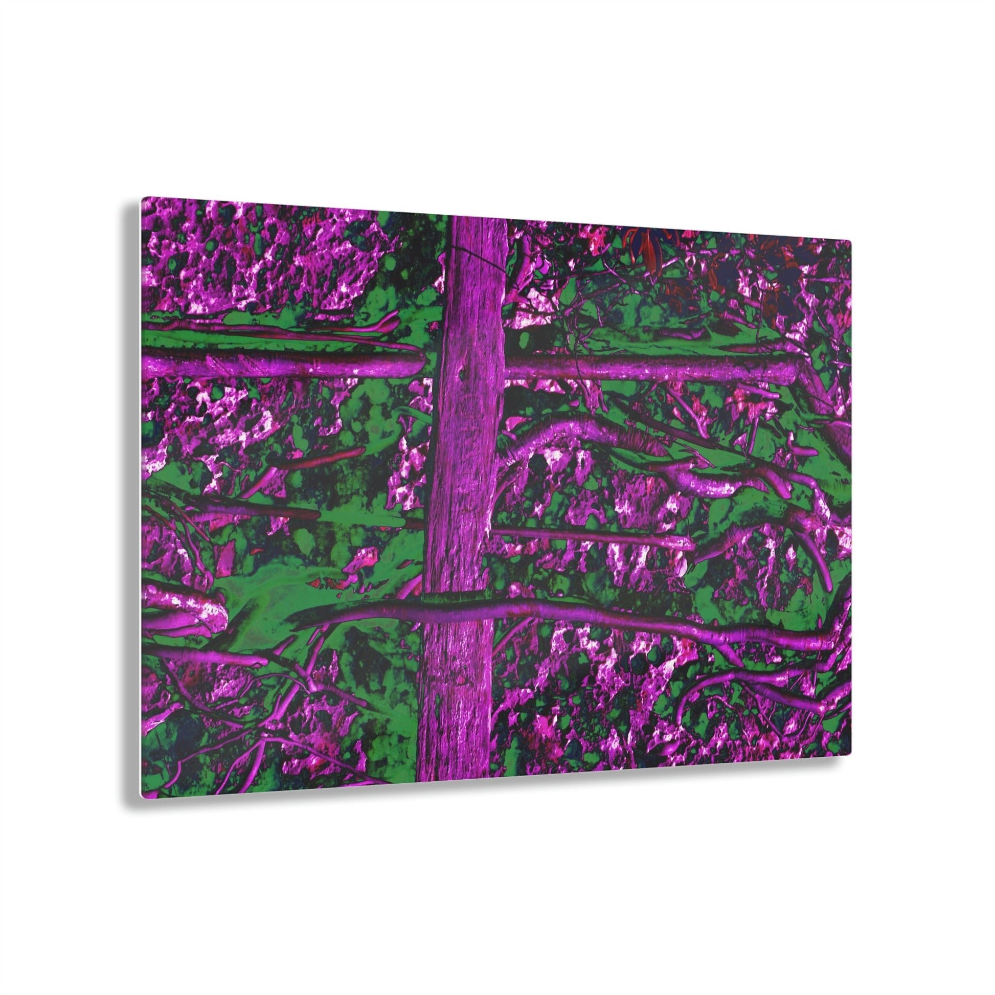 Acrylic Prints - US Made - Ideal for a Stunning Home/Office Decor Ideas - Remote Mona island - Roots grow on flat boulder - CCMM* - Green Forest Home