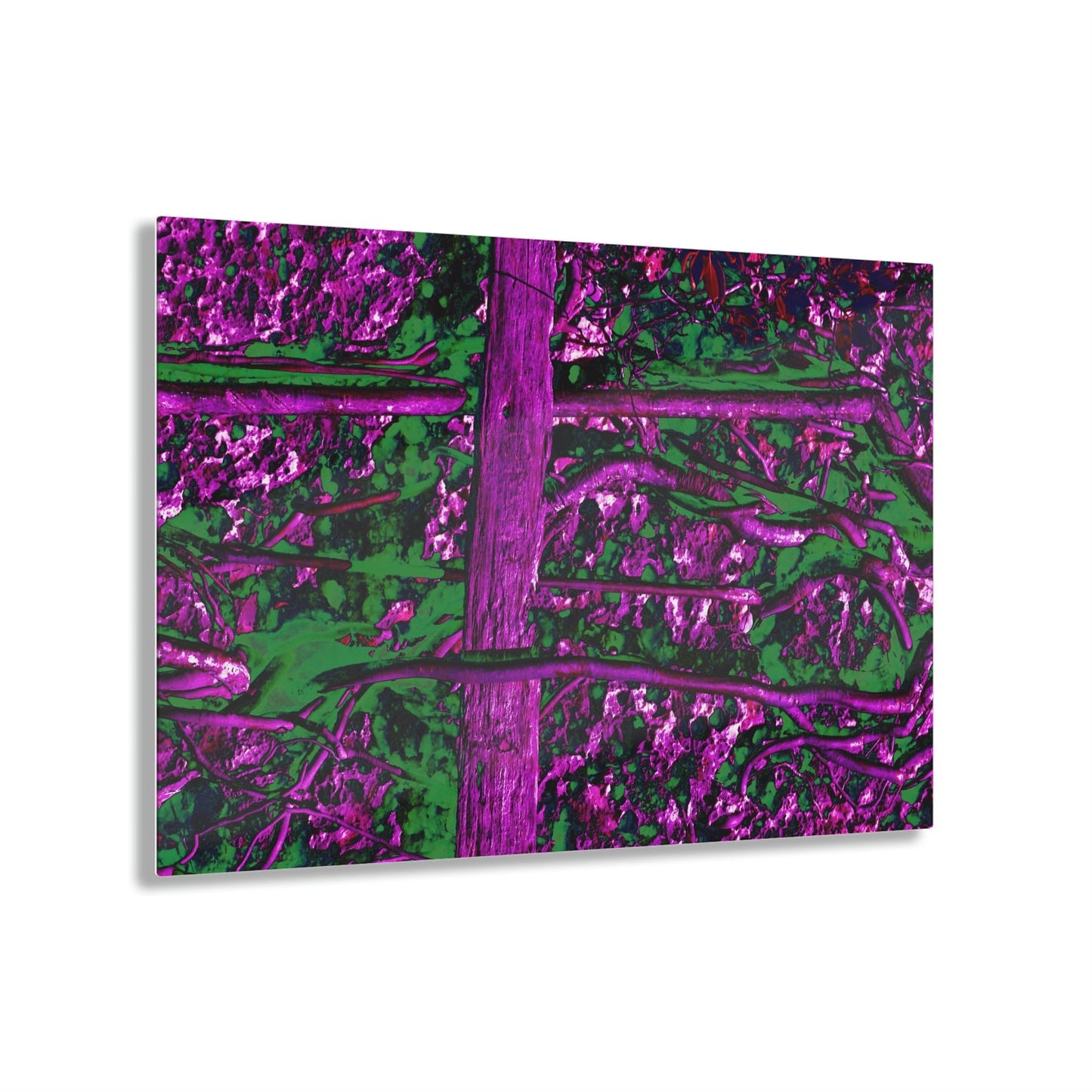 Acrylic Prints - US Made - Ideal for a Stunning Home/Office Decor Ideas - Remote Mona island - Roots grow on flat boulder - CCMM* - Green Forest Home