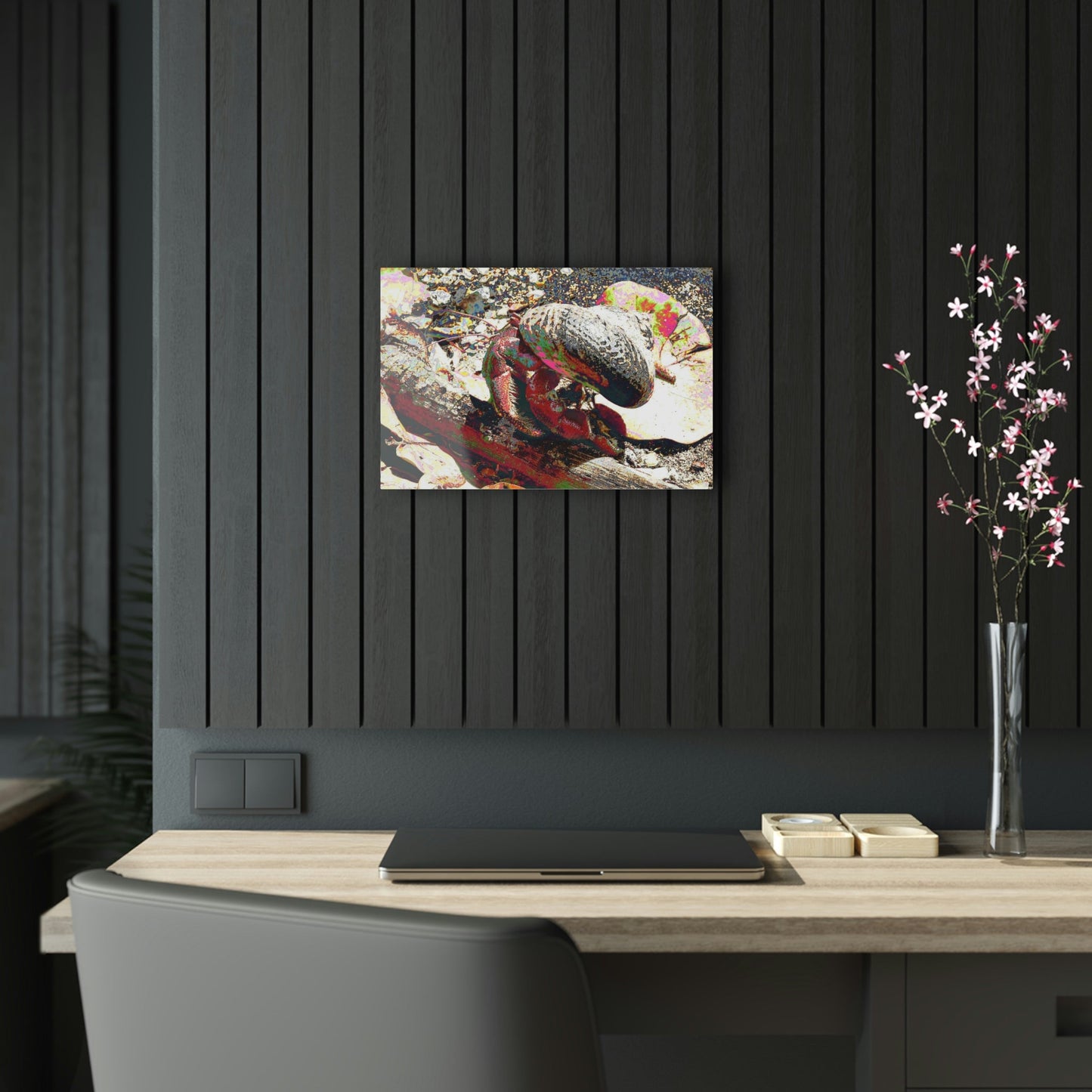 Acrylic Prints - US Made - Ideal for a Stunning Home/Office Decor Ideas - Remote Mona island - Sea animal called Cobos - CCMM* - Green Forest Home
