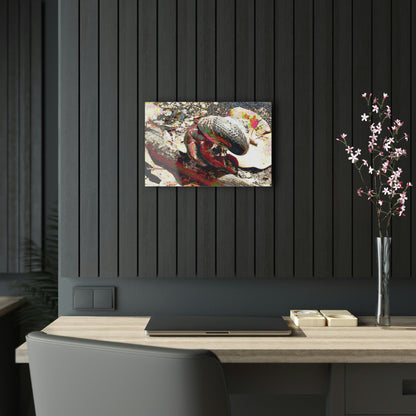 Acrylic Prints - US Made - Ideal for a Stunning Home/Office Decor Ideas - Remote Mona island - Sea animal called Cobos - CCMM* - Green Forest Home