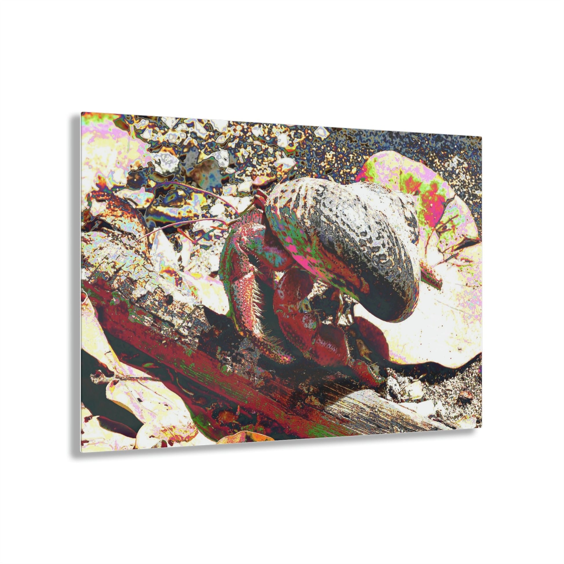 Acrylic Prints - US Made - Ideal for a Stunning Home/Office Decor Ideas - Remote Mona island - Sea animal called Cobos - CCMM* - Green Forest Home