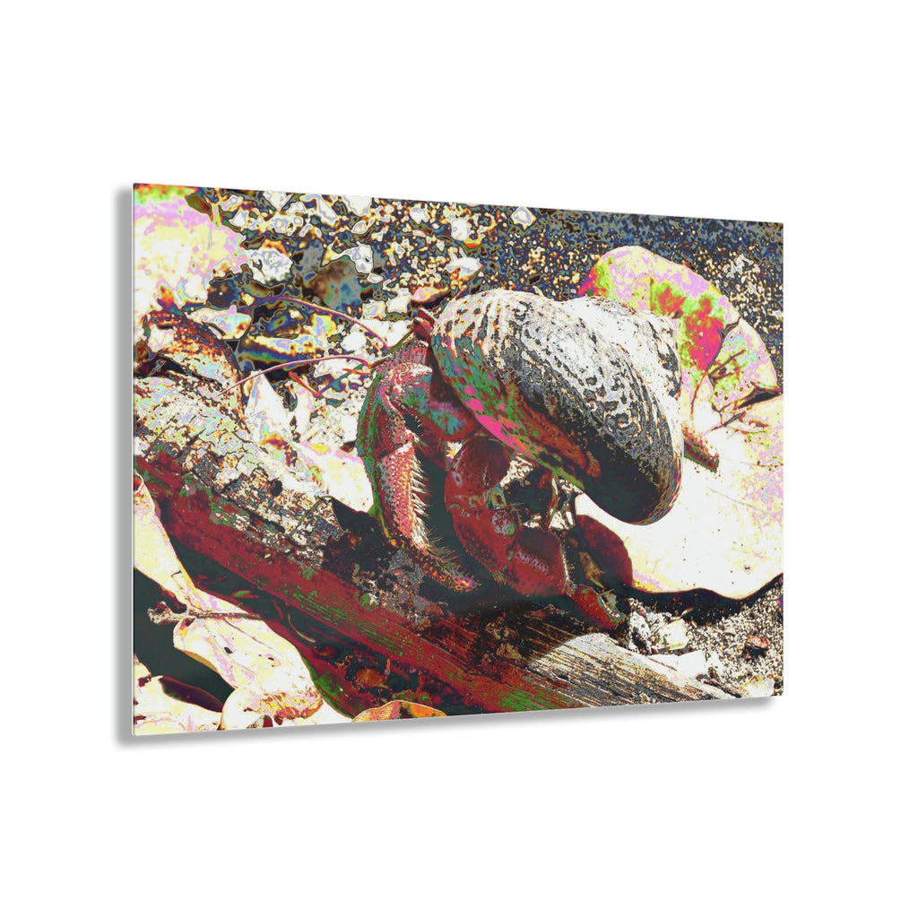 Acrylic Prints - US Made - Ideal for a Stunning Home/Office Decor Ideas - Remote Mona island - Sea animal called Cobos - CCMM* - Green Forest Home