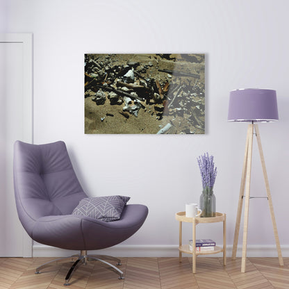 Acrylic Prints - US Made - Ideal for a Stunning Home/Office Decor Ideas - Remote Mona island - Sea Shells & Tides Washout - CCMM* - Green Forest Home
