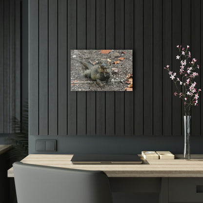 Acrylic Prints - US Made - Ideal for a Stunning Home/Office Decor Ideas - Remote Mona island - The Iguana Seeks Food - Painting - CCMM* - Green Forest Home