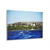Acrylic Prints - US Made - Ideal for a Stunning Home/Office Decor Ideas - Remote Mona island - View from Boat as Painting - CCMM* - Green Forest Home