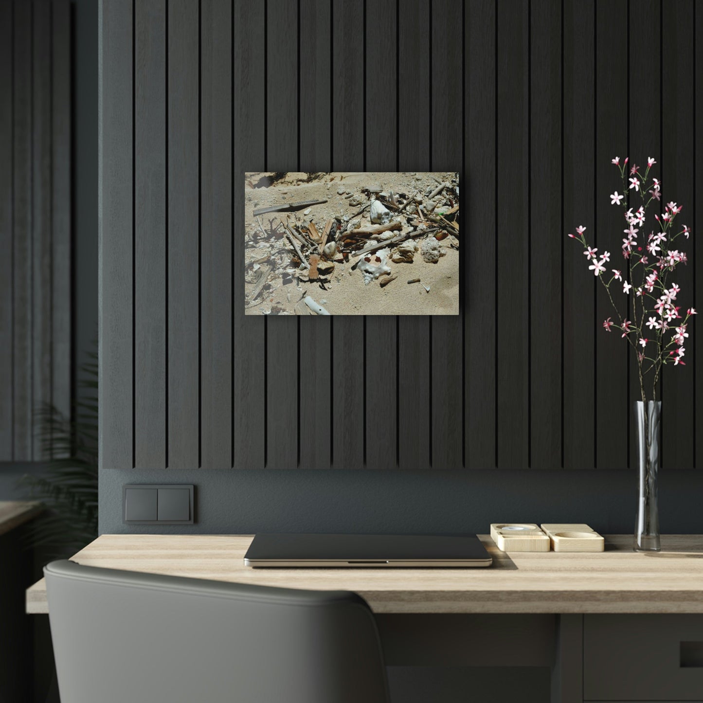 Acrylic Prints - US Made - Ideal for a Stunning Home/Office Decor Ideas - Remote Mona island - What the Tides Wash Up - Playa Pajaros - CCMM* - Green Forest Home