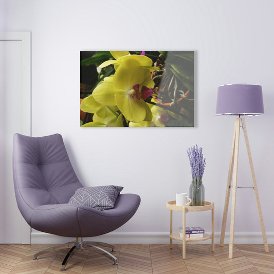 ACRYLIC Wall Prints - ORCHIDS - the sharpest colors and prints - lasting glass surface - stunning for the Green Forest Home decor - US Made - Green Forest Home