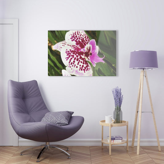 ACRYLIC Wall Prints - ORCHIDS - the sharpest colors and prints - lasting glass surface - stunning for the Green Forest Home decor - US Made - Green Forest Home