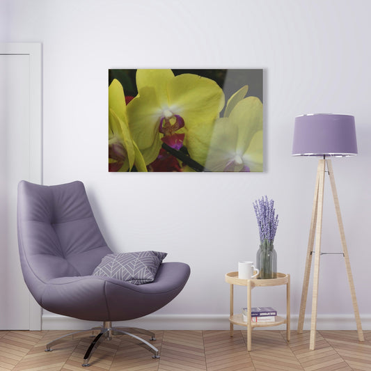 ACRYLIC Wall Prints - ORCHIDS - the sharpest colors and prints - lasting glass surface - stunning for the Green Forest Home decor - US Made - Green Forest Home