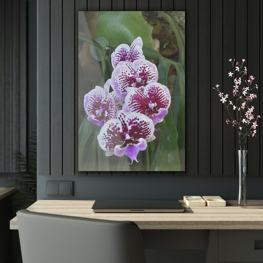 ACRYLIC Wall Prints - ORCHIDS - the sharpest colors and prints - lasting glass surface - stunning for the Green Forest Home decor - US Made - Green Forest Home