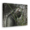 Amazing native Iguana of Mona Island - Puerto Rico - the Galapagos of the Caribbean - in Pajaros beach - Green Forest Home