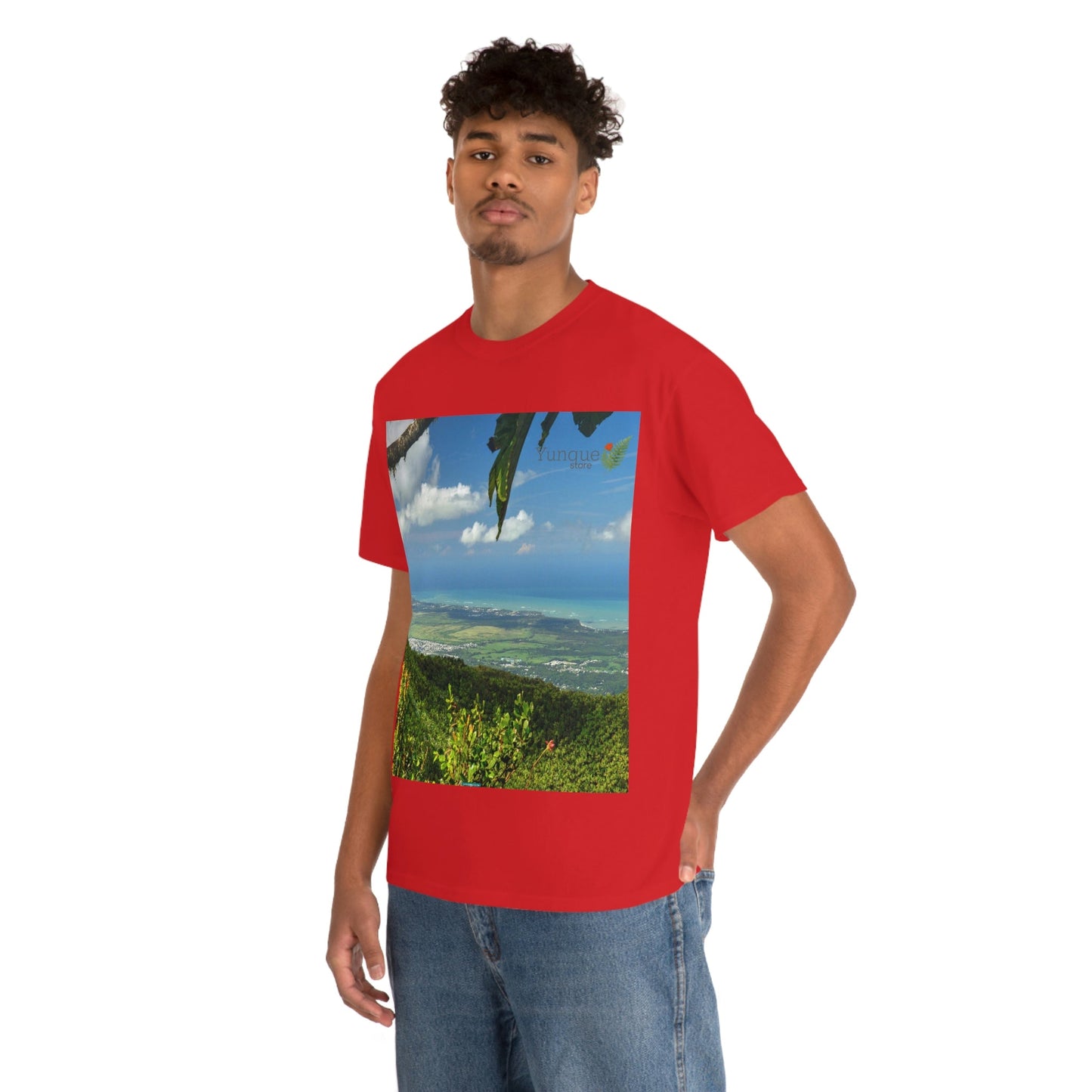 AU Print - Giladan 5000 - Unisex Heavy Cotton Tee - View from 3K feet in El Yunque Rainforest peak - Puerto Rico - Green Forest Home