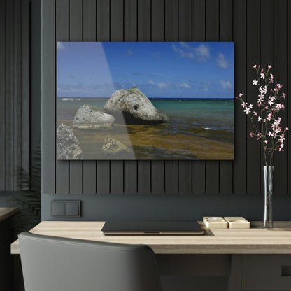 AWESOME Acrylic Prints - Stunning Pristine & Remote Mona island Puerto Rico - Boulders on the coast fallen from the cliffs & caves - Green Forest Home