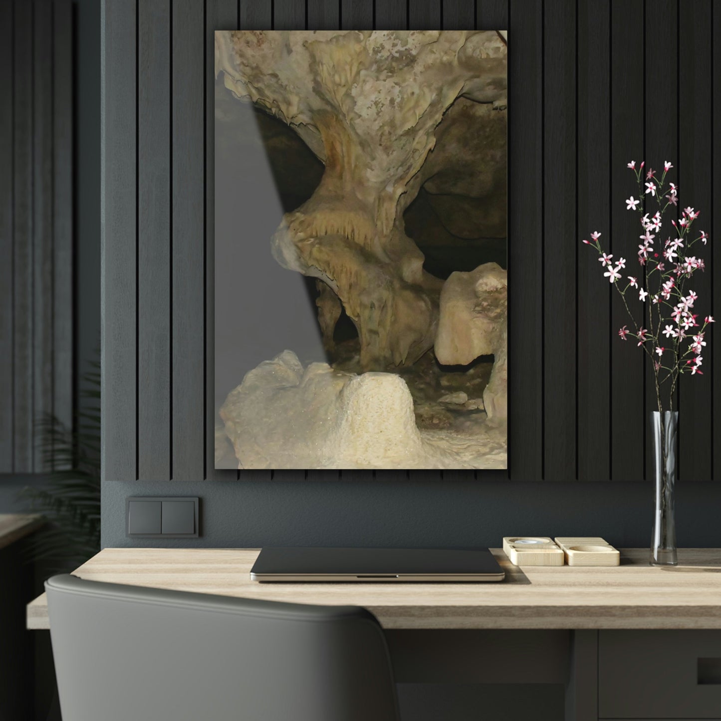 AWESOME Acrylic Prints - Stunning Pristine & Remote Mona island Puerto Rico - Cave entrace weird Stalactite formations - what is this? - Green Forest Home