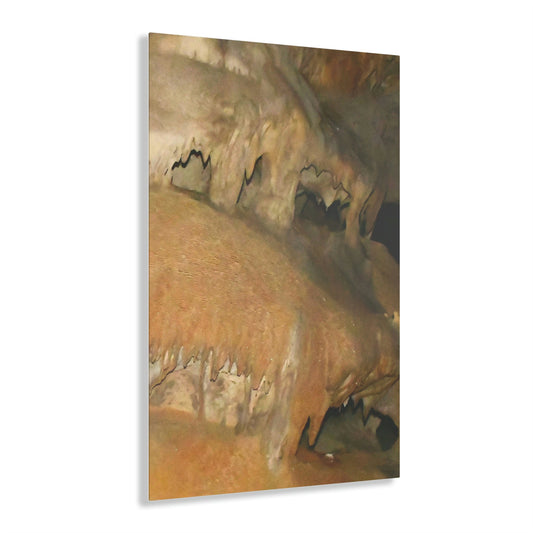 AWESOME Acrylic Prints - Stunning Pristine & Remote Mona island Puerto Rico - Cave entrance limestone formations - we call it 'The Brain' - Green Forest Home