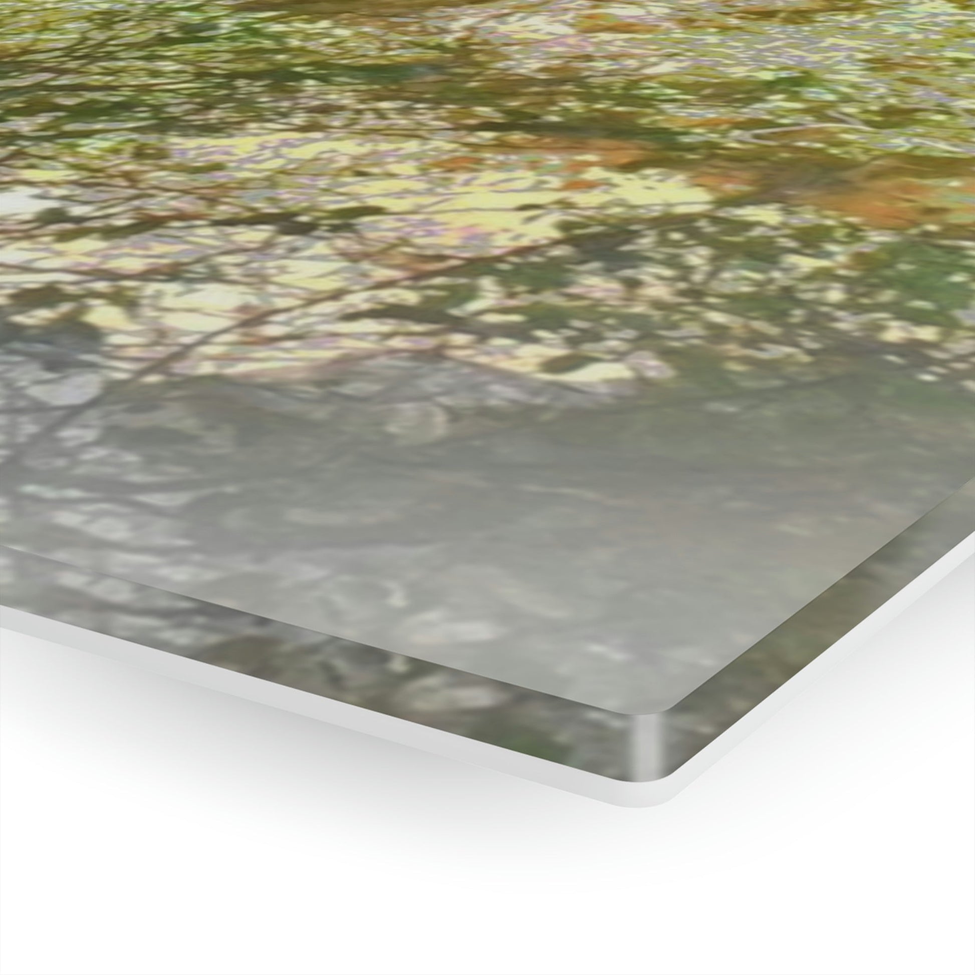 AWESOME Acrylic Prints - Stunning Pristine & Remote Mona island Puerto Rico - Caves Wall Formations - stalactites above - PR Sierra Club explorers - Green Forest Home