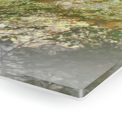 AWESOME Acrylic Prints - Stunning Pristine & Remote Mona island Puerto Rico - Caves Wall Formations - stalactites above - PR Sierra Club explorers - Green Forest Home