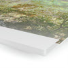 AWESOME Acrylic Prints - Stunning Pristine & Remote Mona island Puerto Rico - Caves Wall Formations - stalactites above - PR Sierra Club explorers - Green Forest Home