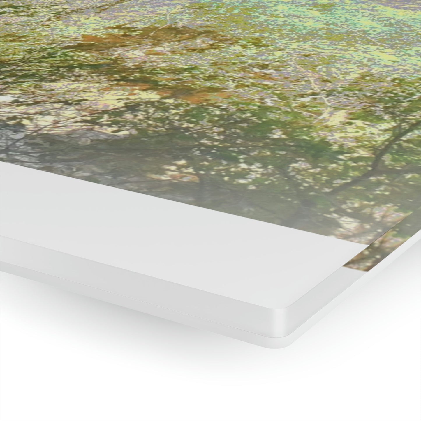 AWESOME Acrylic Prints - Stunning Pristine & Remote Mona island Puerto Rico - Caves Wall Formations - stalactites above - PR Sierra Club explorers - Green Forest Home