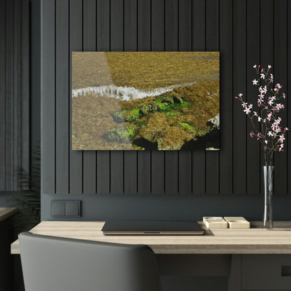 AWESOME Acrylic Prints - Stunning Pristine & Remote Mona island Puerto Rico - hidden paradise - Playa Pajaros algae filled wave breaks - Green Forest Home