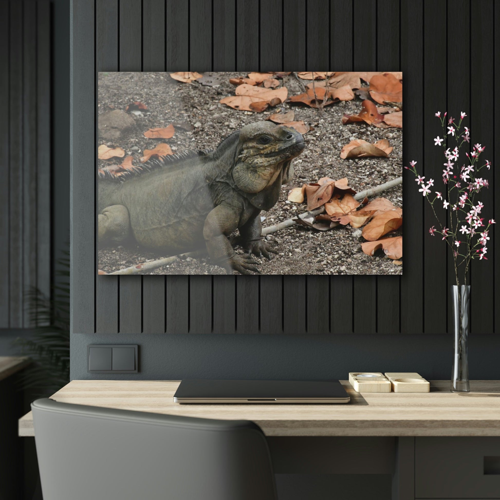 AWESOME Acrylic Prints - Stunning Pristine & Remote Mona island Puerto Rico - hidden paradise - Playa Pajaros Native Iguana - Green Forest Home