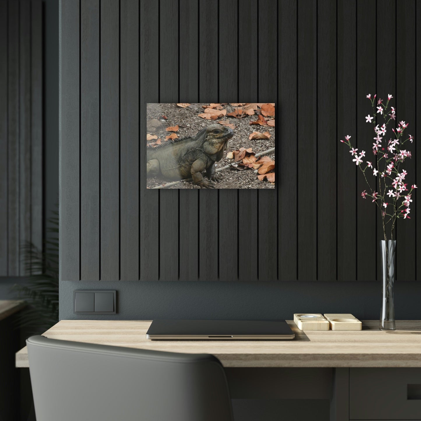 AWESOME Acrylic Prints - Stunning Pristine & Remote Mona island Puerto Rico - hidden paradise - Playa Pajaros Native Iguana - Green Forest Home