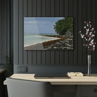 AWESOME Acrylic Prints - Stunning Pristine & Remote Mona island Puerto Rico - Marvelous View of Pajaros Beach & algae filled sand - Green Forest Home