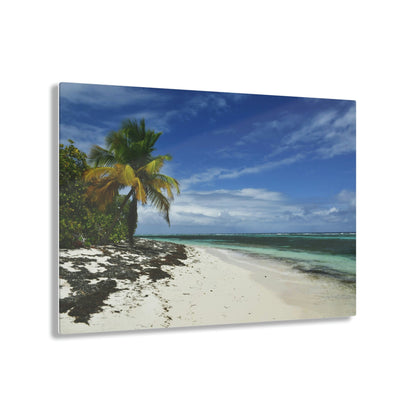 AWESOME Acrylic Prints - Stunning Pristine & Remote Mona island Puerto Rico - Pajaros beach - my dream picture - nicest place to swim & relax - Green Forest Home