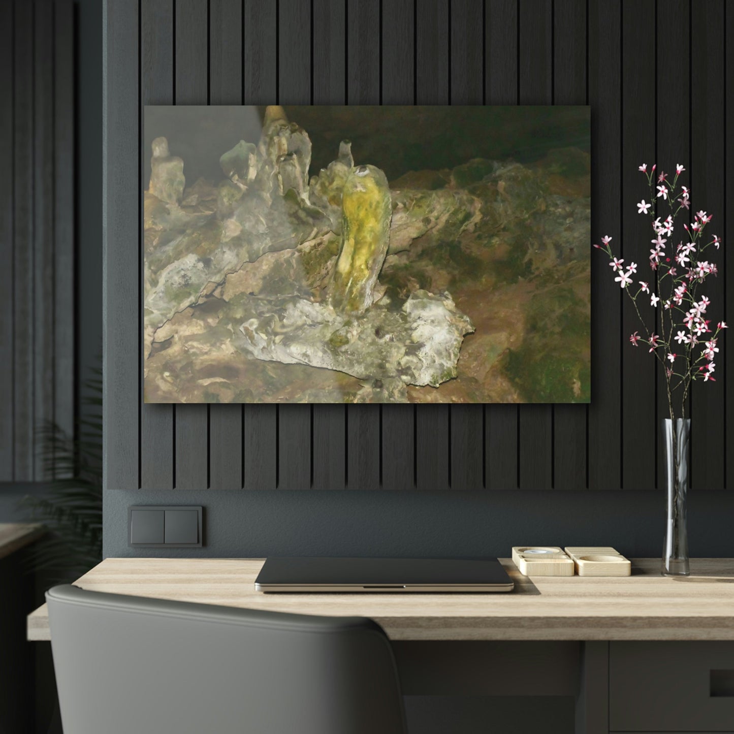 AWESOME Acrylic Prints - Stunning Pristine & Remote Mona island Puerto Rico - The amazing cave formations and shades - Green Forest Home