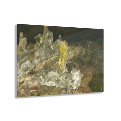 AWESOME Acrylic Prints - Stunning Pristine & Remote Mona island Puerto Rico - The amazing cave formations and shades - Green Forest Home