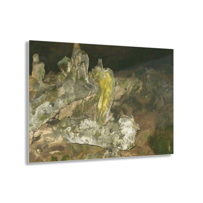 AWESOME Acrylic Prints - Stunning Pristine & Remote Mona island Puerto Rico - The amazing cave formations and shades - Green Forest Home