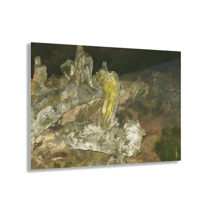AWESOME Acrylic Prints - Stunning Pristine & Remote Mona island Puerto Rico - The amazing cave formations and shades - Green Forest Home