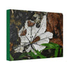 Canvas Stretched - Forest@Home - El Yunque - Recovering from Hurricane Maria - Fallen Yagrumo leafs - their two sides - Tradewinds