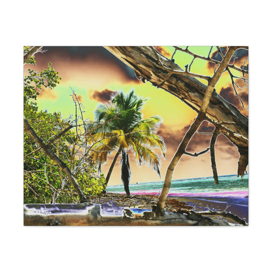 BEACH@HOME - Home/office decor ideas: Canvas Gallery Wraps - Remote & Pristine Mona Island near Puerto Rico - color curves manually modified for special effects - US PRINT - Green Forest Home