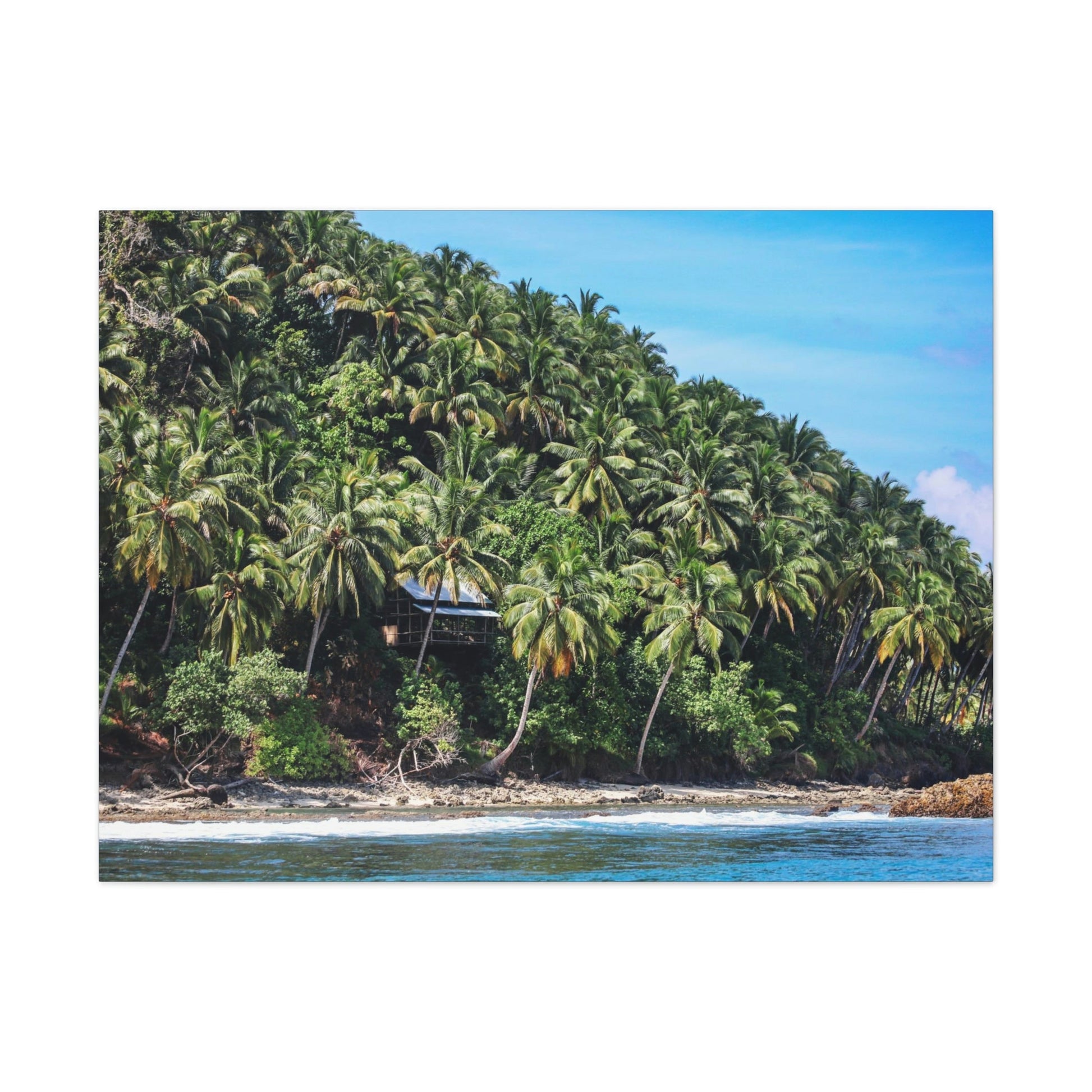 Best Beaches & Islands - Canvas Stretched, 0.75" in 6 sizes - Coconut Shoreline - Isolated Paradise - Mentawais Islands - Indonesia - US Print - Green Forest Home