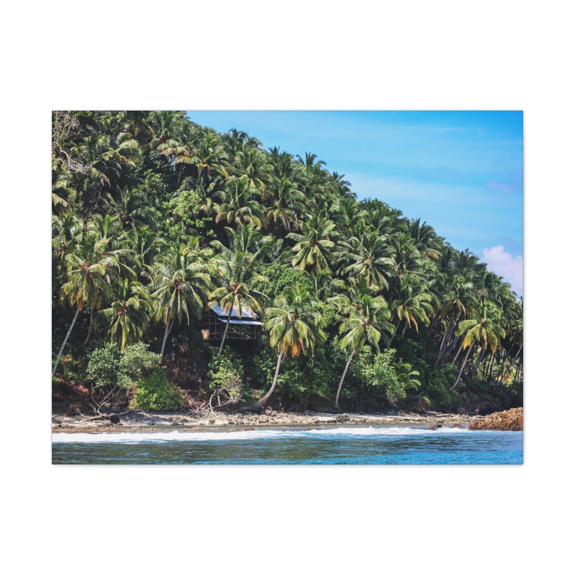 Best Beaches & Islands - Canvas Stretched, 0.75" in 6 sizes - Coconut Shoreline - Isolated Paradise - Mentawais Islands - Indonesia - US Print - Green Forest Home