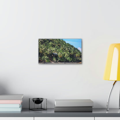 Best Beaches & Islands - Canvas Stretched, 0.75" in 6 sizes - Coconut Shoreline - Isolated Paradise - Mentawais Islands - Indonesia - US Print - Green Forest Home
