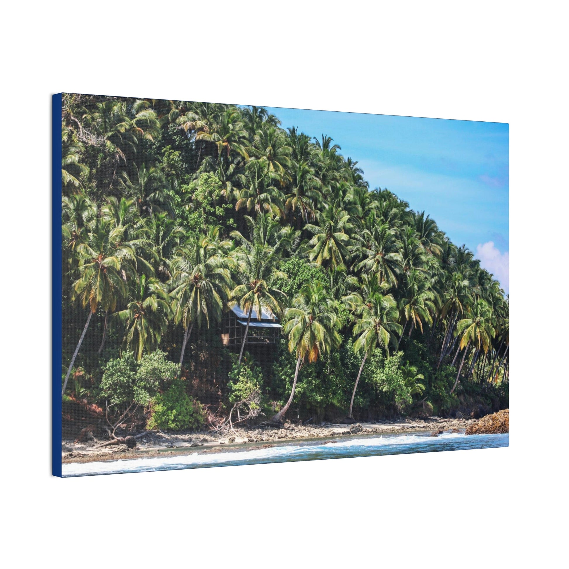 Best Beaches & Islands - Canvas Stretched, 0.75" in 6 sizes - Coconut Shoreline - Isolated Paradise - Mentawais Islands - Indonesia - US Print - Green Forest Home