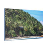 Best Beaches & Islands - Canvas Stretched, 0.75" in 6 sizes - Coconut Shoreline - Isolated Paradise - Mentawais Islands - Indonesia - US Print - Green Forest Home