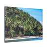 Best Beaches & Islands - Canvas Stretched, 0.75" in 6 sizes - Coconut Shoreline - Isolated Paradise - Mentawais Islands - Indonesia - US Print - Green Forest Home